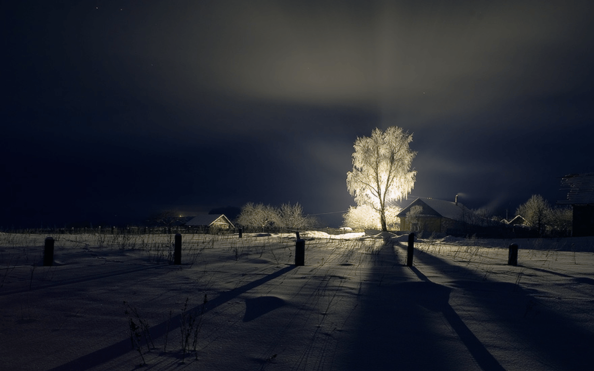 Beautiful winter landscape at night with a shining tree [Amazing Photo