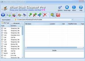 wise disk cleaner pro