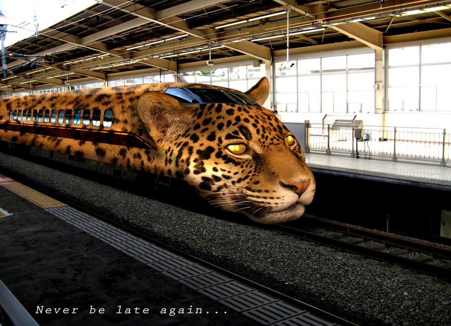 [Image: leopard_train.jpg?200]
