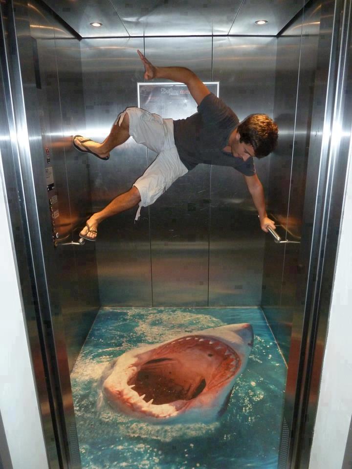 shark_attack_elevator