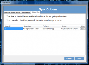 Drop N Sync Delete Files