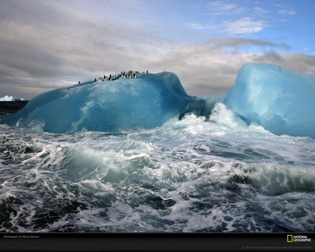 penguins_blue_iceberg