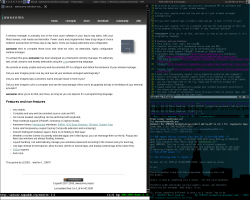 screen