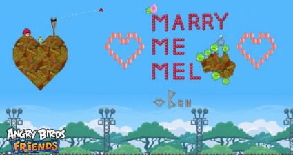Marry Me Mel Angry Birds Proposal