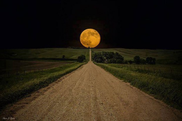 road_to_the_moon