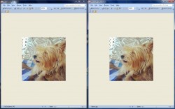 TinyPic images side by side