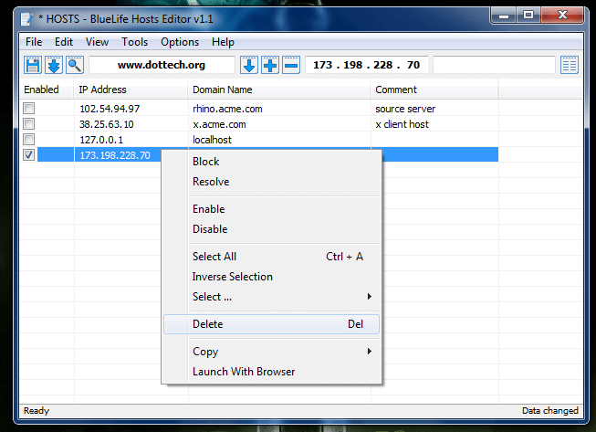 BlueLife Hosts Editor context menu