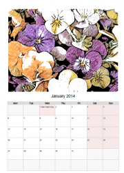 Pically Calendar 2014