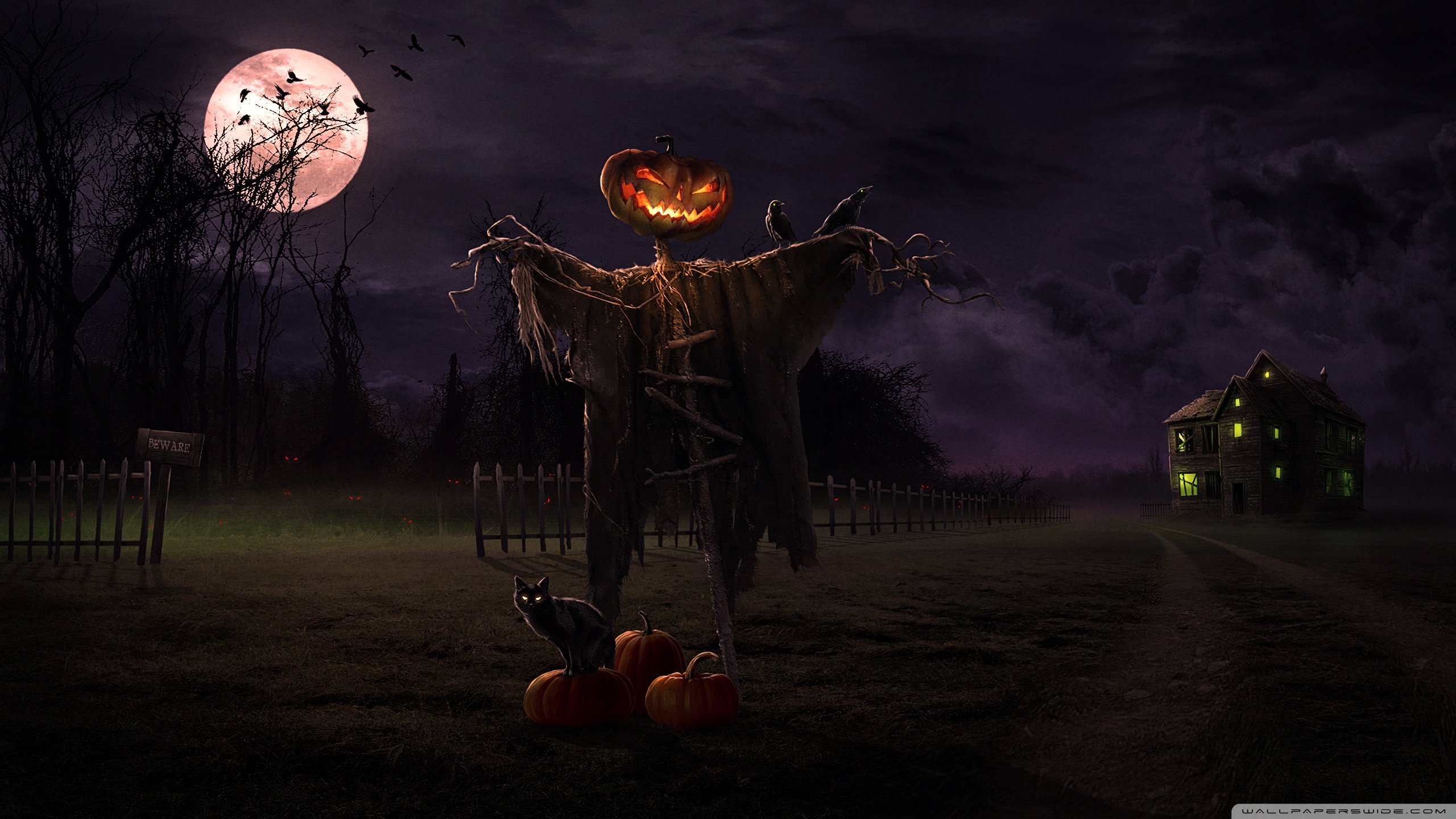 Spooky Halloween Fondos De Pantalla Gratis Para Wides - vrogue.co