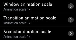 AnimationScale Options