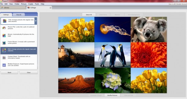 Picasa 3