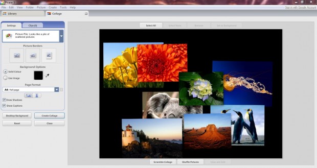 Picasa Picture Pile 1