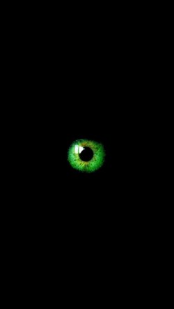 Green-Eye-In-The-Dark-250x443