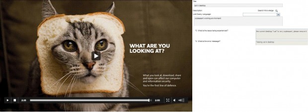 cat_image