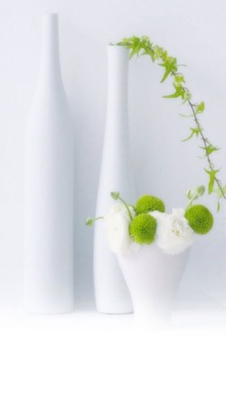 Green-Plants-In-White-Bottles-250x443