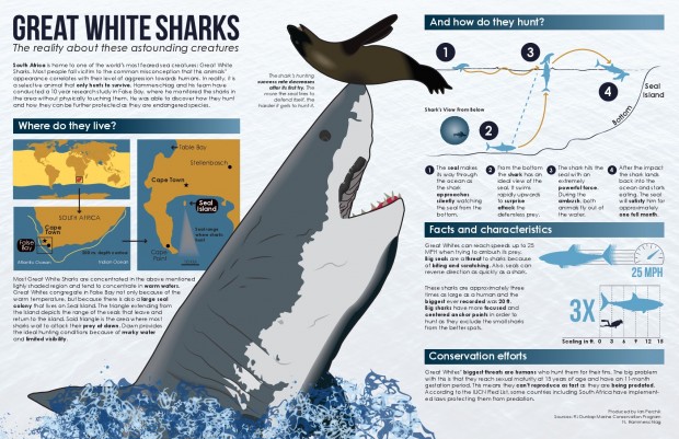the-science-behind-great-white-shark-predation