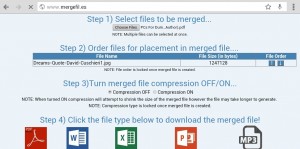 MergeFil.es Free File Merger