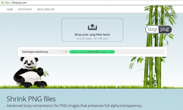 tinypng slider tinypng slider