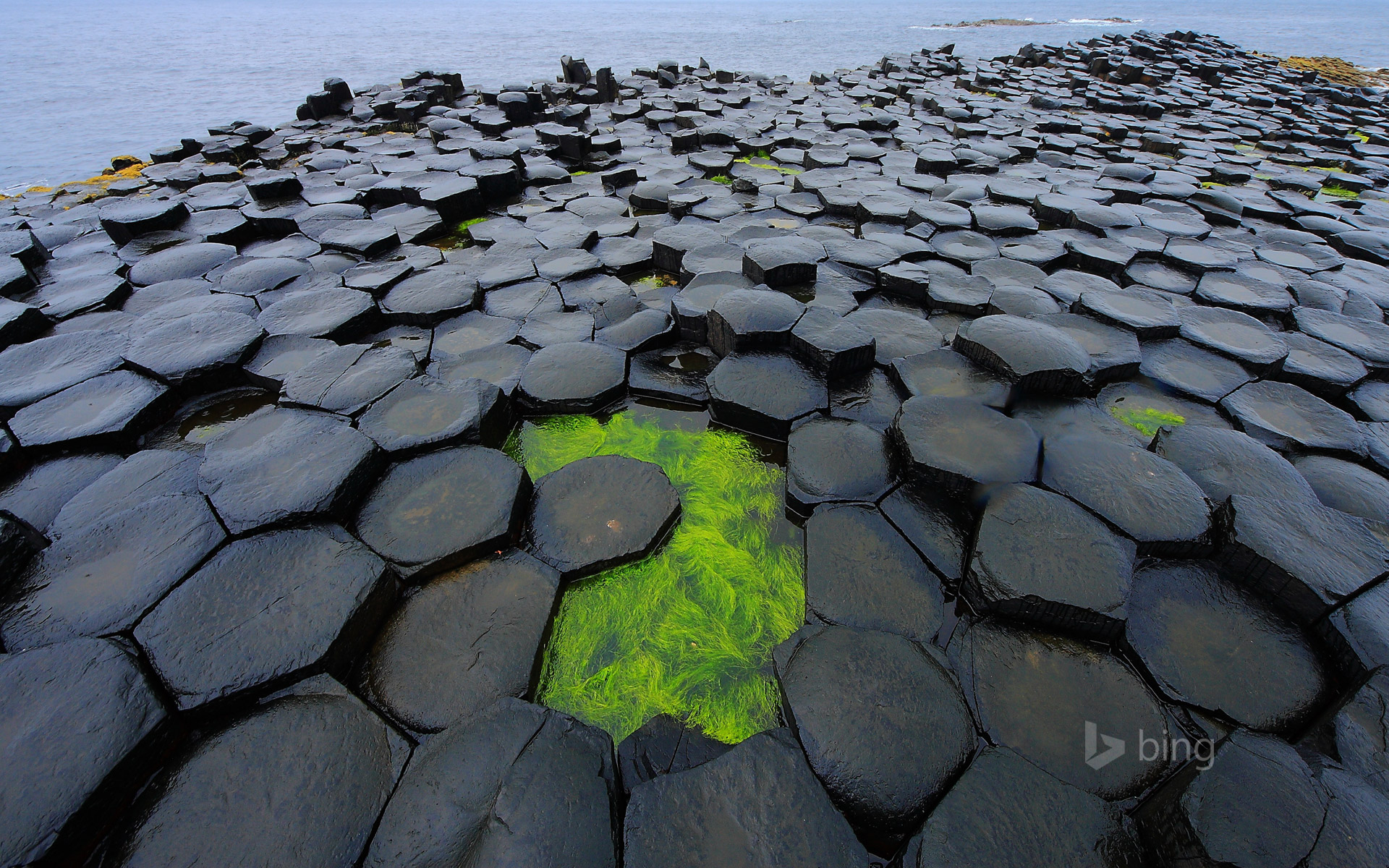 Giant's causeway [Amazing Photo of the Day]  Reviews 