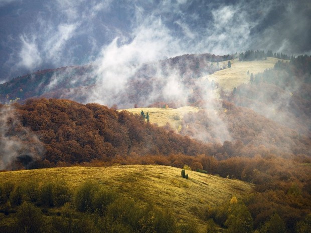 landscape-carpathian-mountains_78169_990x742