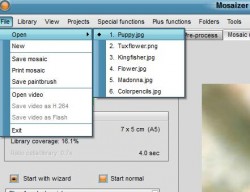 beginners guide mosaic pro 8.33 torrent