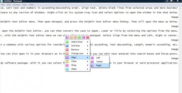Dolphine Text Editor 4