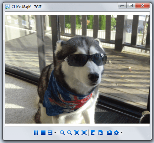 view animated GIFs in Windows