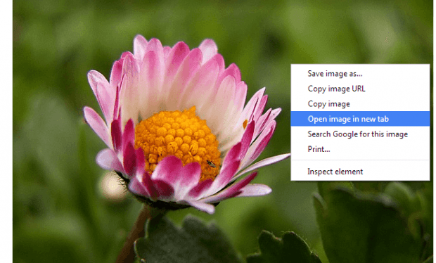 Image to Center Chrome b