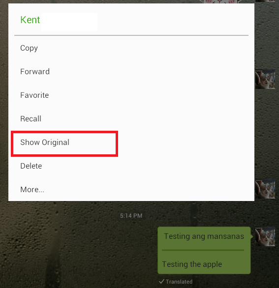 translate option in WeChat (3)