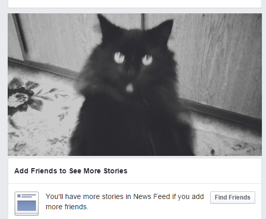 replace FB ads with adorable cats